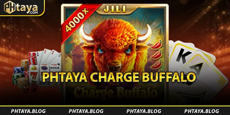 PHTAYA Charge Buffalo