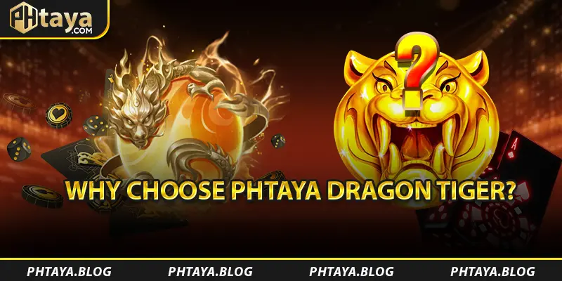 Tại sao nên chọn PHTAYA Dragon Tiger?